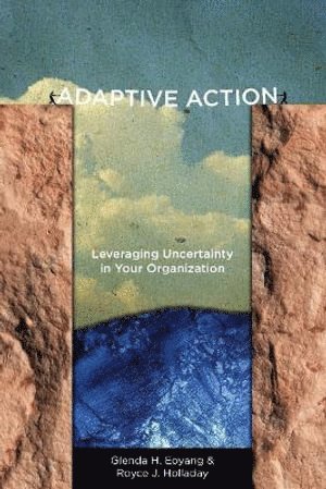 Glenda H. Eoyang, Royce J. Holladay, Glenda H Eoyang, Royce J Holladay - Adaptive Action, Inbunden