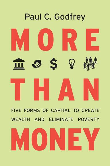 bokomslag More Than Money