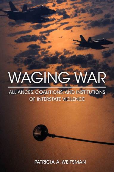 Patricia A. Weitsman - Waging War, Inbunden