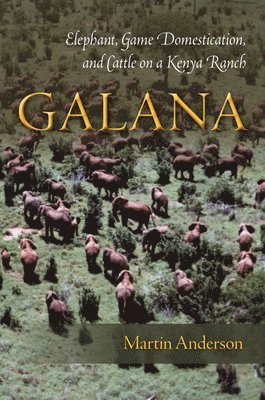 Galana 1