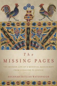 bokomslag The Missing Pages