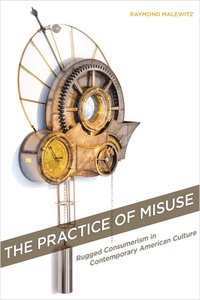 bokomslag Practice of Misuse