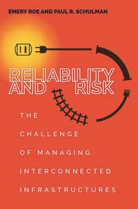 bokomslag Reliability and Risk