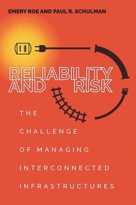 bokomslag Reliability and Risk