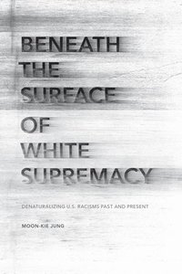 bokomslag Beneath the Surface of White Supremacy