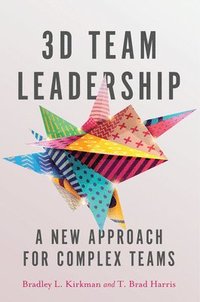 bokomslag 3D Team Leadership