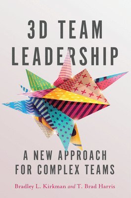 3D Team Leadership 1