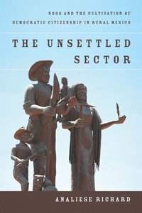 bokomslag The Unsettled Sector