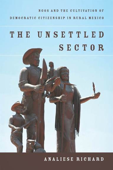 bokomslag Unsettled Sector