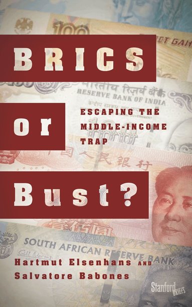 Hartmut Elsenhans, Salvatore Babones - BRICS or Bust?, Häftad