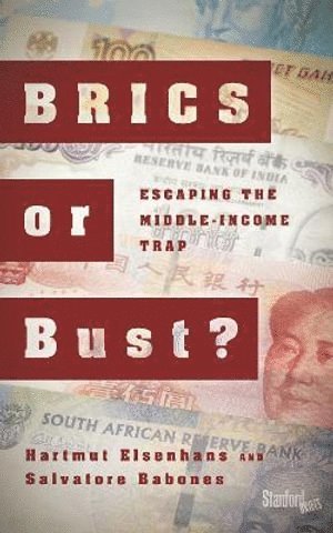 Hartmut Elsenhans, Salvatore Babones - BRICS or Bust?, Häftad