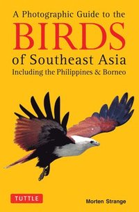 bokomslag A Photographic Guide to the Birds of Southeast Asia