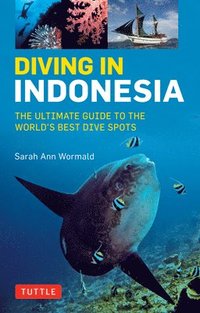 bokomslag Diving in Indonesia