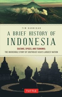 bokomslag A Brief History of Indonesia