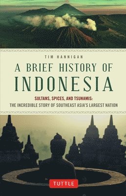 bokomslag Brief History of Indonesia