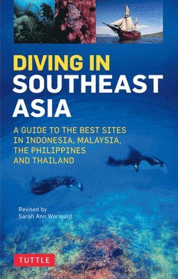 Diving in Southeast Asia 1