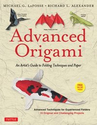 bokomslag Advanced Origami