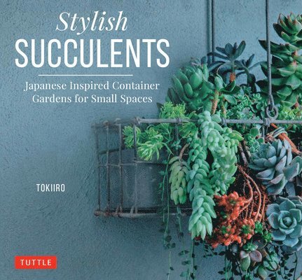Stylish Succulents 1