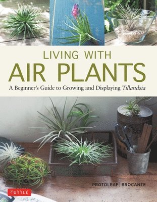 bokomslag Living with Air Plants