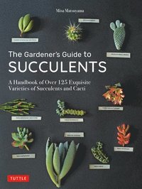 bokomslag The Gardener's Guide to Succulents