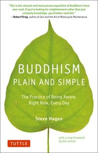 bokomslag Buddhism Plain and Simple