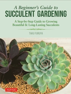 bokomslag Beginner's Guide to Succulent Gardening
