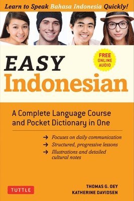 bokomslag Easy Indonesian