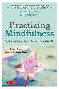 bokomslag Practicing Mindfulness