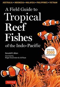bokomslag Field Guide To Tropical Reef Fishes Of The Indo Pacific