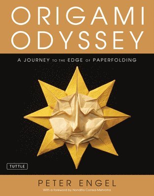 bokomslag Origami Odyssey