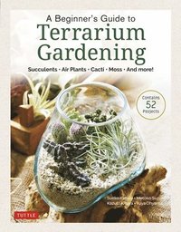 bokomslag A Beginner's Guide to Terrarium Gardening