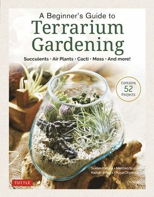 A Beginner's Guide to Terrarium Gardening 1