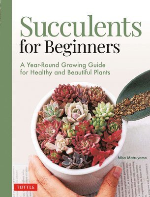 Succulents for Beginners 1