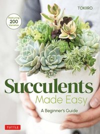 bokomslag Succulents Made Easy