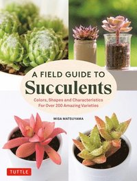 bokomslag A Field Guide to Succulents