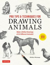 bokomslag Pro Tips & Techniques for Drawing Animals