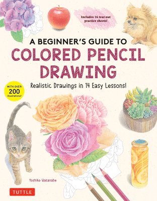 bokomslag A Beginner's Guide to Colored Pencil Drawing