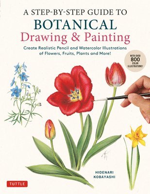 bokomslag A Step-by-Step Guide to Botanical Drawing & Painting