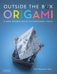 bokomslag Outside the Box Origami