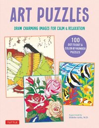 bokomslag Art Puzzles