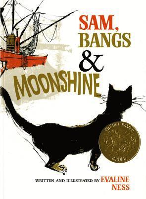 bokomslag Sam, Bangs, and Moonshine