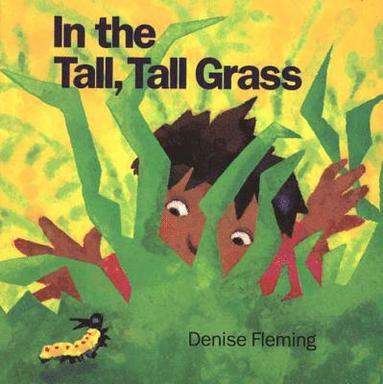bokomslag In the Tall, Tall Grass (Big Book)