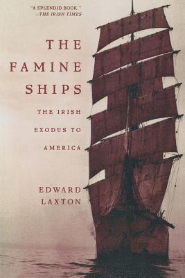 bokomslag The Famine Ships