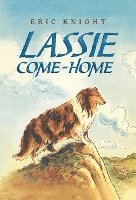 Lassie Come-Home 1