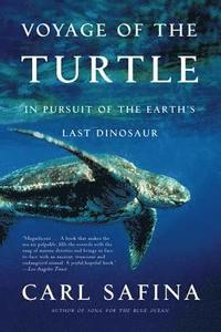 bokomslag Voyage Of The Turtle