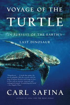 bokomslag Voyage of the Turtle