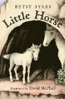 bokomslag Little Horse