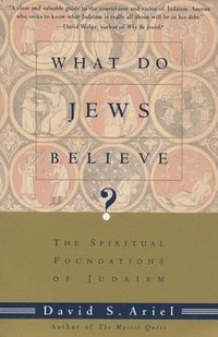 bokomslag What Do Jews Believe?: The Spiritual Foundations of Judaism
