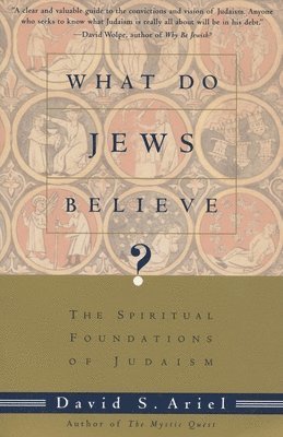 David Ariel - What Do Jews Believe?: The Spiritual Foundations of Judaism, Häftad