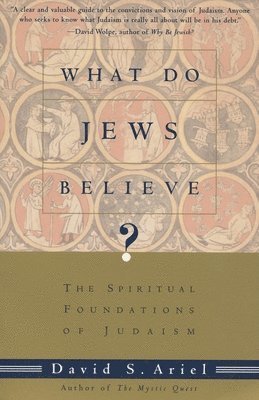 bokomslag What Do Jews Believe